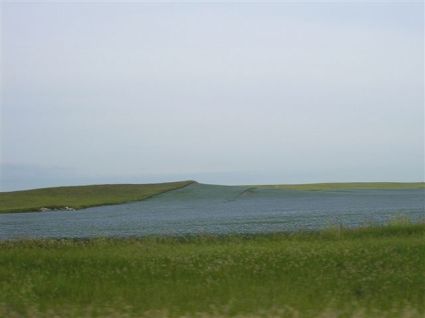 sea of flax